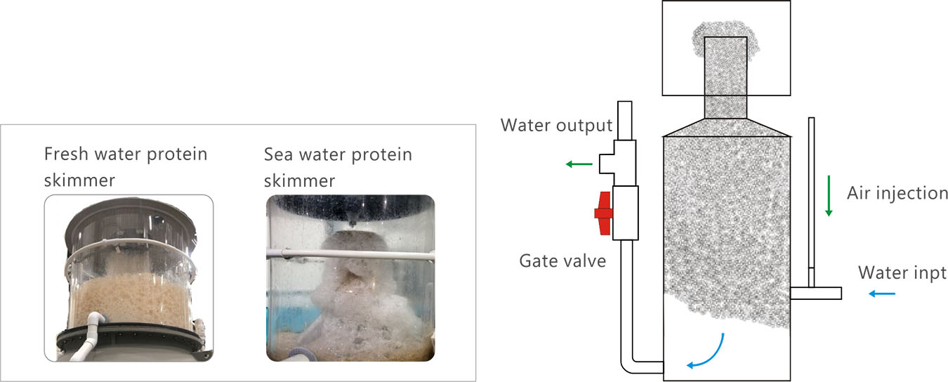 LLDPE PROTEIN SKIMMER - Protein skimmer - Aquaculture-Mariculture
